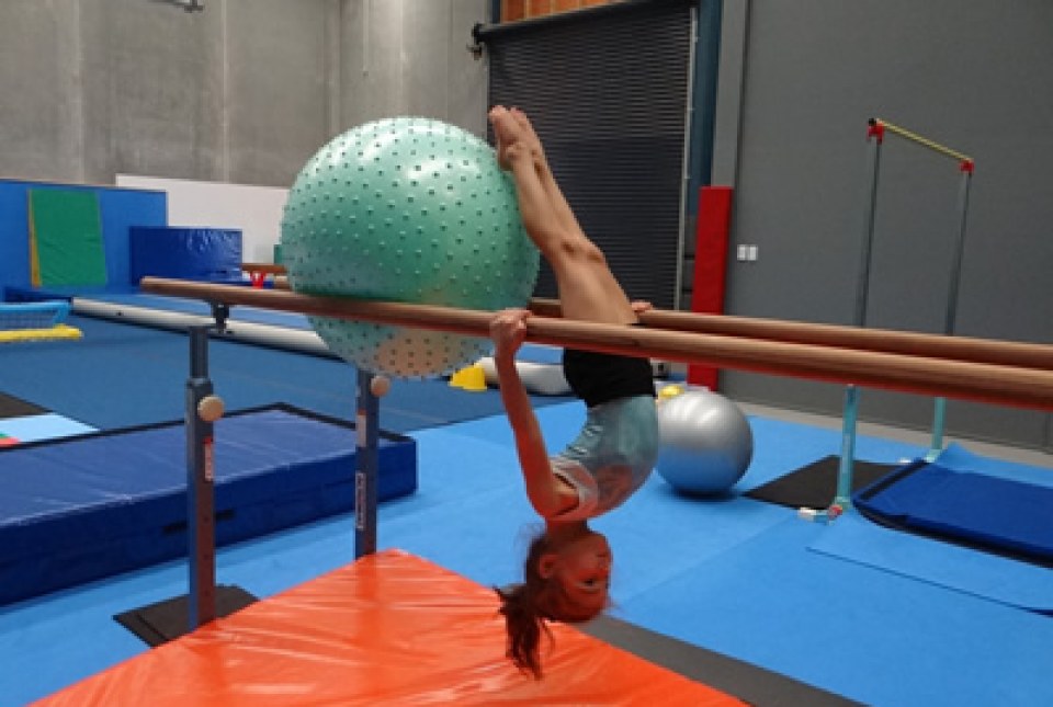 Gymnastics Facility Hamilton New Zealand