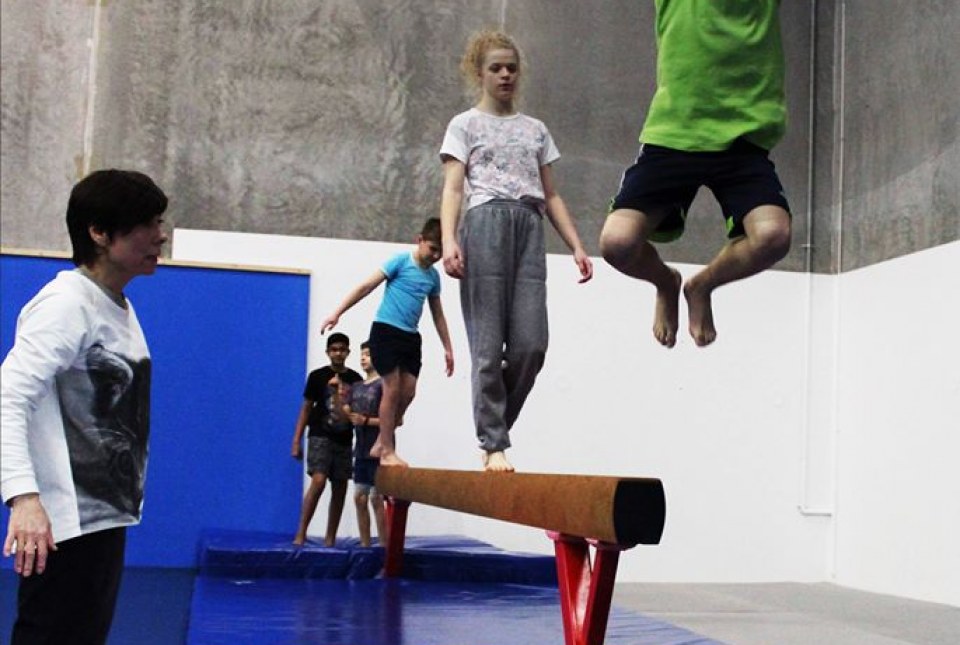 Recreational Gymnastics