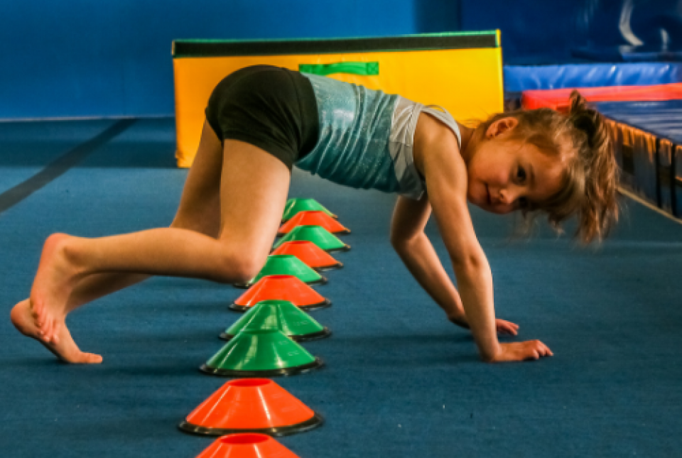 Recreational Gymnastics